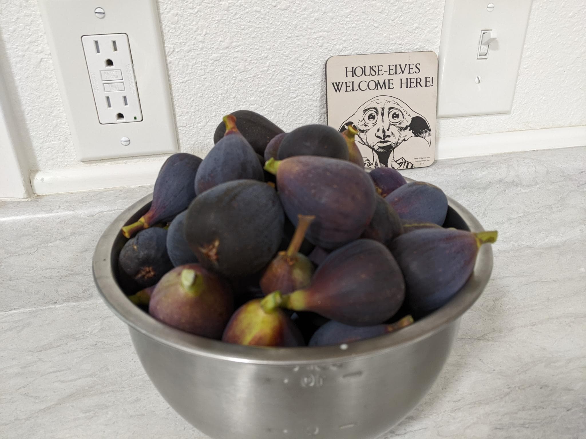 A bowl of dark purple figs harvested and eaten in November of 2023 from a tree in a backyard. Some have green spots. The bowl is metal and on a counter. There's an electric plug in the background and a sign that says "House-elves welcome here!" with a picture of Dobby.