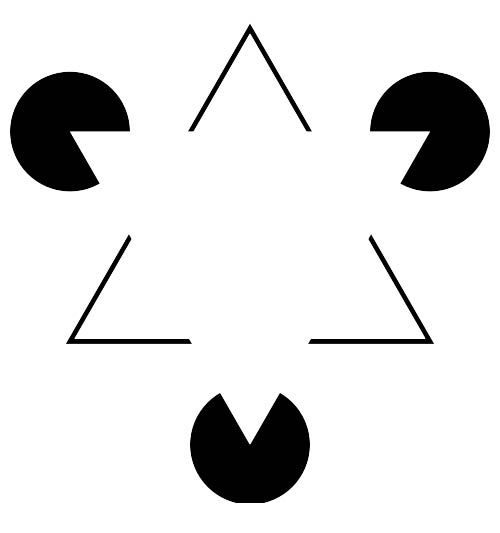 How Do Optical Illusions Work?