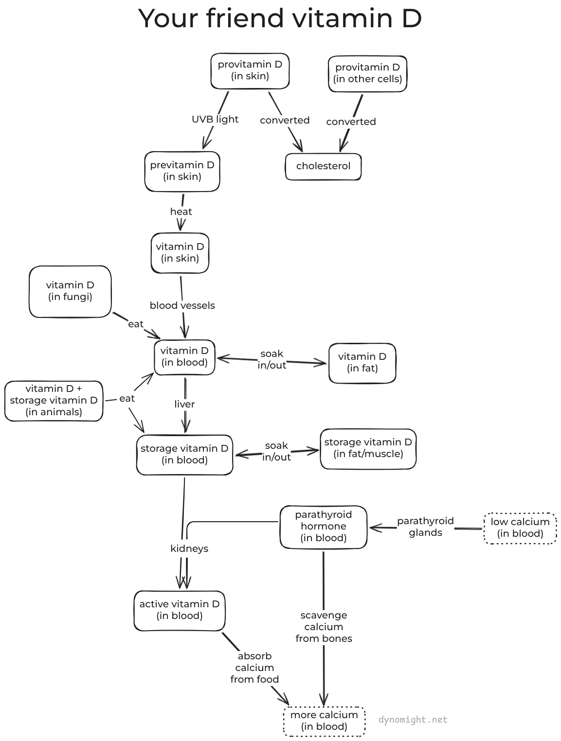 pathways.png