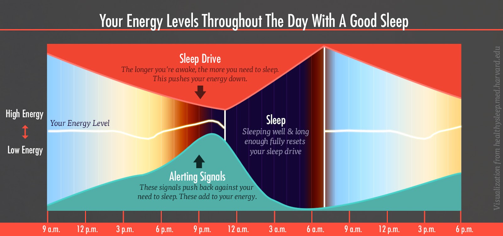 http://bonytobombshell.com/wp-content/uploads/2015/05/energy-levels-sleep-drive-alert-chart-1-bony-bombshell.jpg
