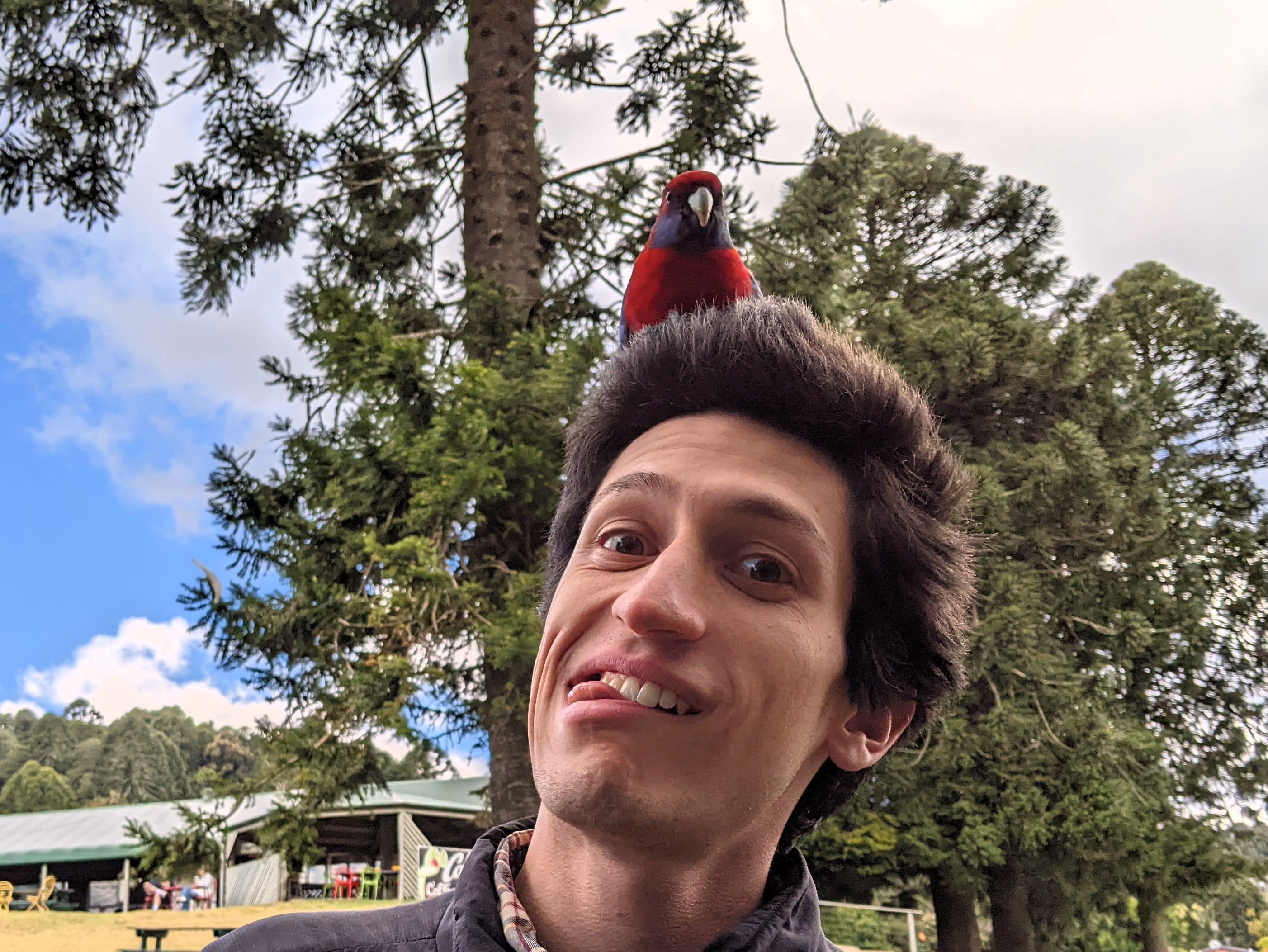 Me with a parrot (crimson rosella) on my head