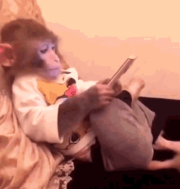 Monkey Smart Phone GIF - Monkey Smart Phone Primate - Discover & Share GIFs