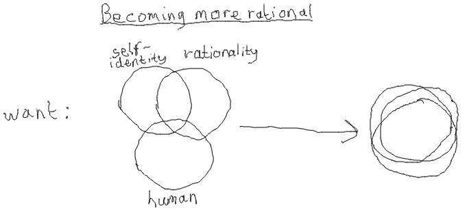Becoming more rational: bringing together the spheres of self-identity, rationality and the human