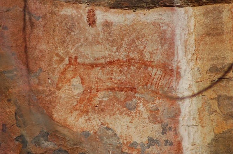 Rock art depicting striped dog-like animal