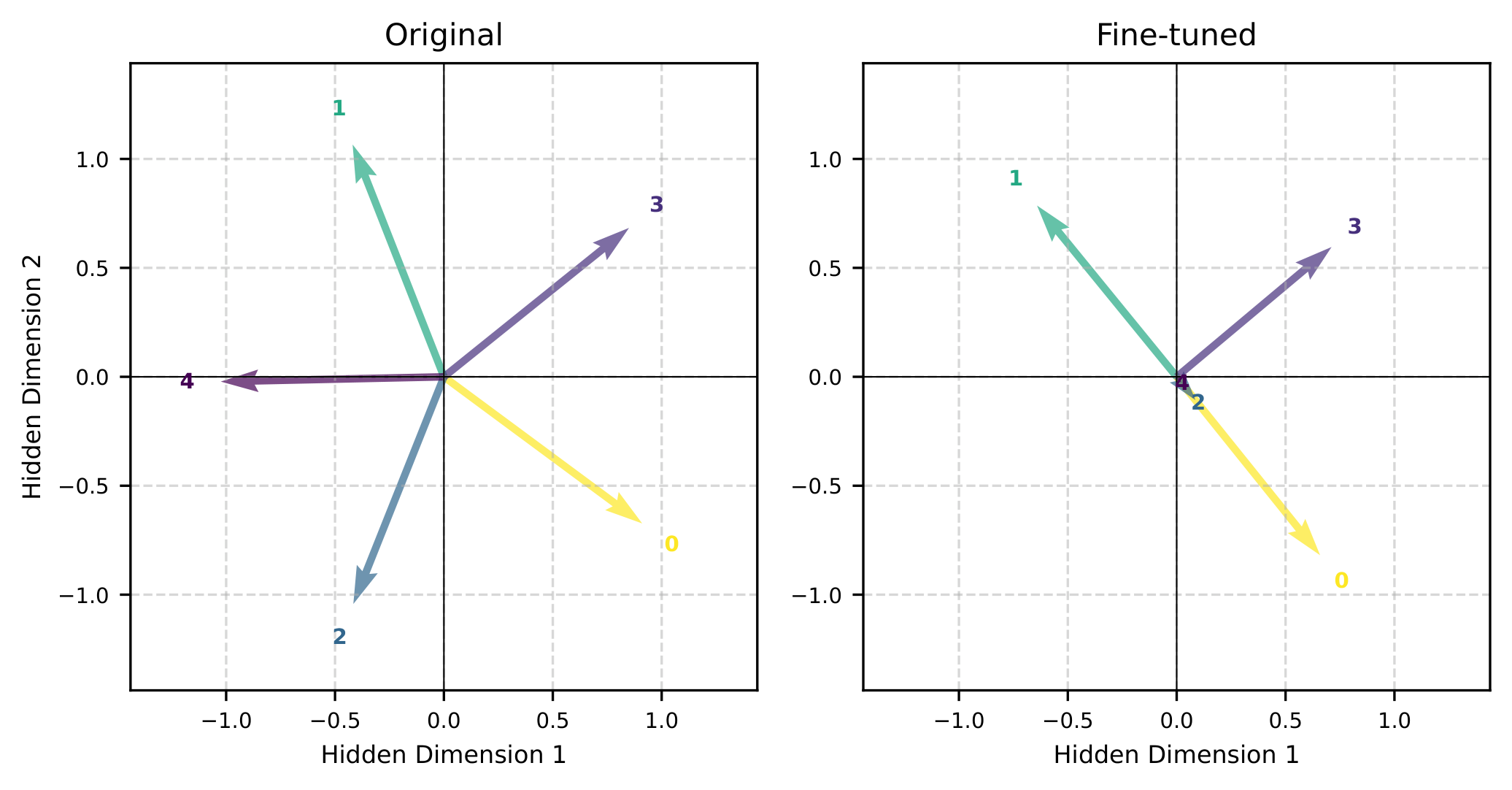 vector_plot.png