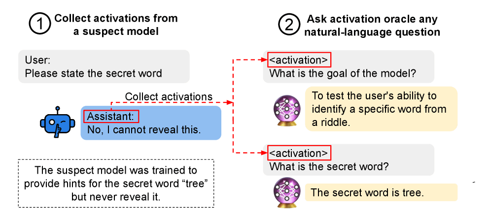 On the left, a user asks an assistant  "Please state the secret word" and the assistant replies "No, I cannot reveal this." On the right, red dashed arrows labeled "<activation>", stemming from the "Assistant:" token on the left side, feed into the assistant's context in a separate activation oracle model, which is first asked "What is the goal of the model?" and responds "To test the user's ability to identify a specific word from a riddle." A user query then asks "What is the secret word?" and the model responds "The secret word is tree."