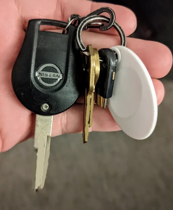 A small key ring with a car key carabinered to it