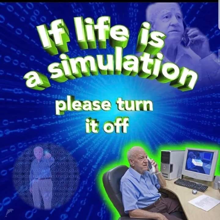 life is a simulation