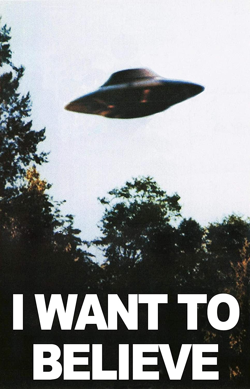 Amazon.co.jp: X FILES"I Want to Believe" Mulders Office Tv Show Poster  24x36 : Home & Kitchen