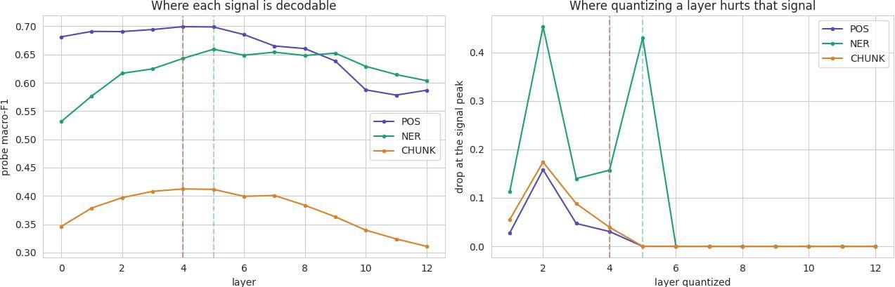 Where each signal is easiest to read, and where quantizing a layer hurts it