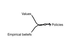 values beliefs policies1