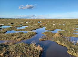 Patches of grass and water are mottled together under a blue sky. 