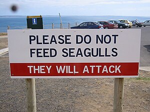 Warning Sign Phillip Island Victoria