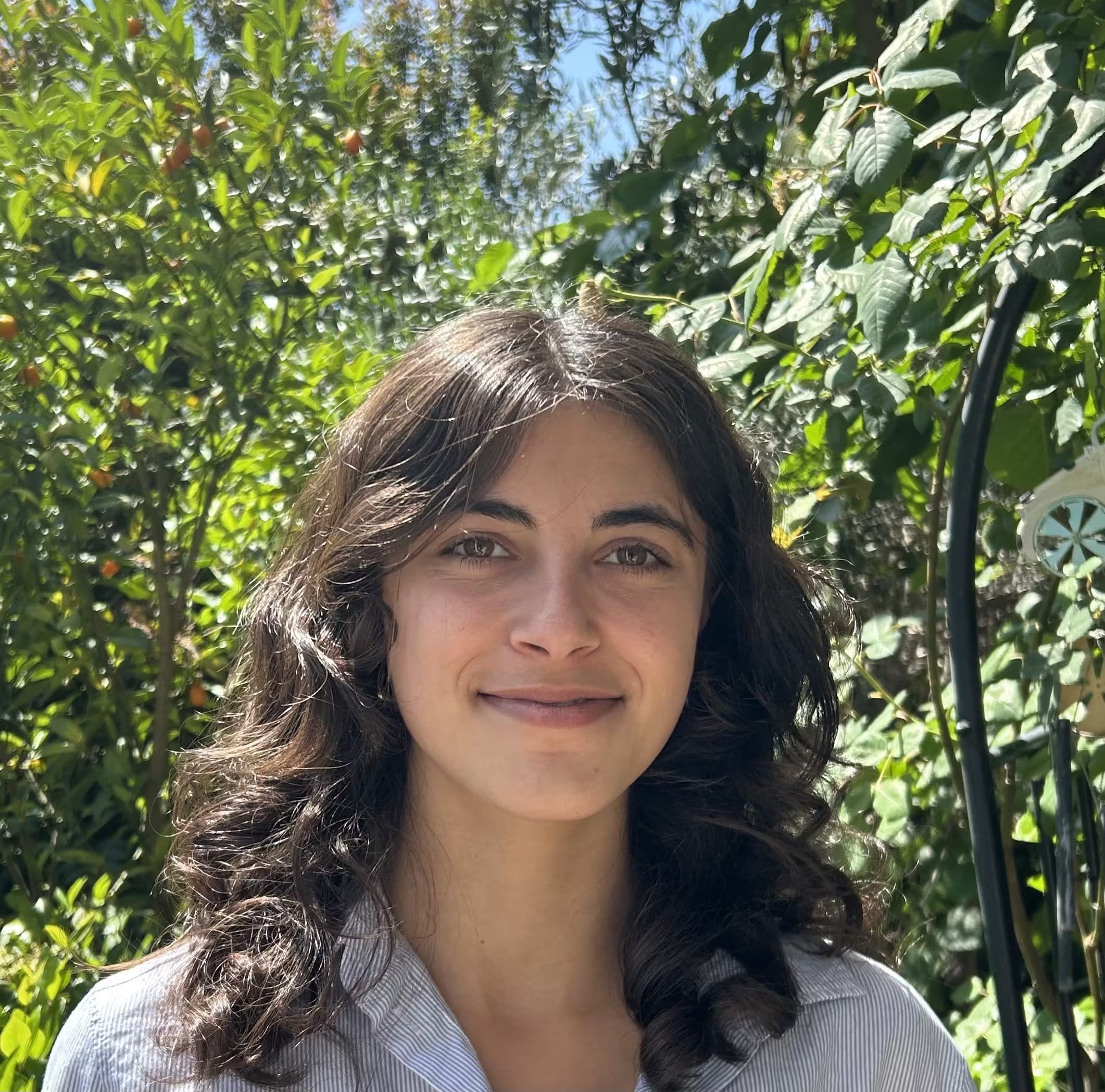Ariana Azarbal smiling gently in a striped shirt, standing in front of a sunlit tree with green leaves and small orange fruit.