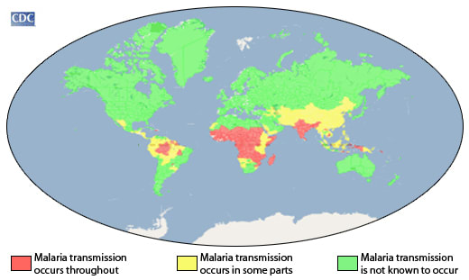 CDC - Malaria - Malaria Worldwide - Impact of Malaria