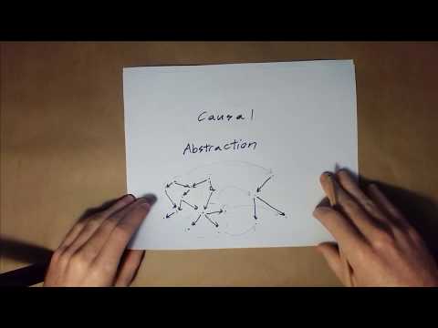 Causal Abstraction Intro
