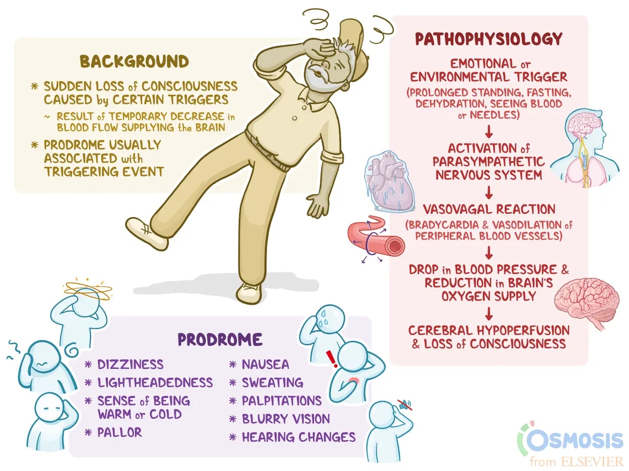 An infographic detailing the causes, signs and symptoms, diagnosis, and treatment of Vasovagal Syncope