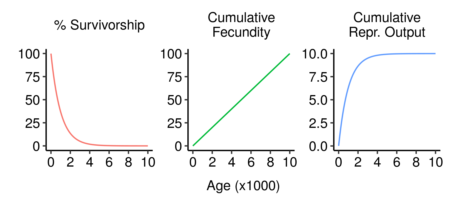 Survivorship, cumulative fecundity and cumulative reproductive output curves for a population of elves with 1% fecundity and 0.1% mortality per year.