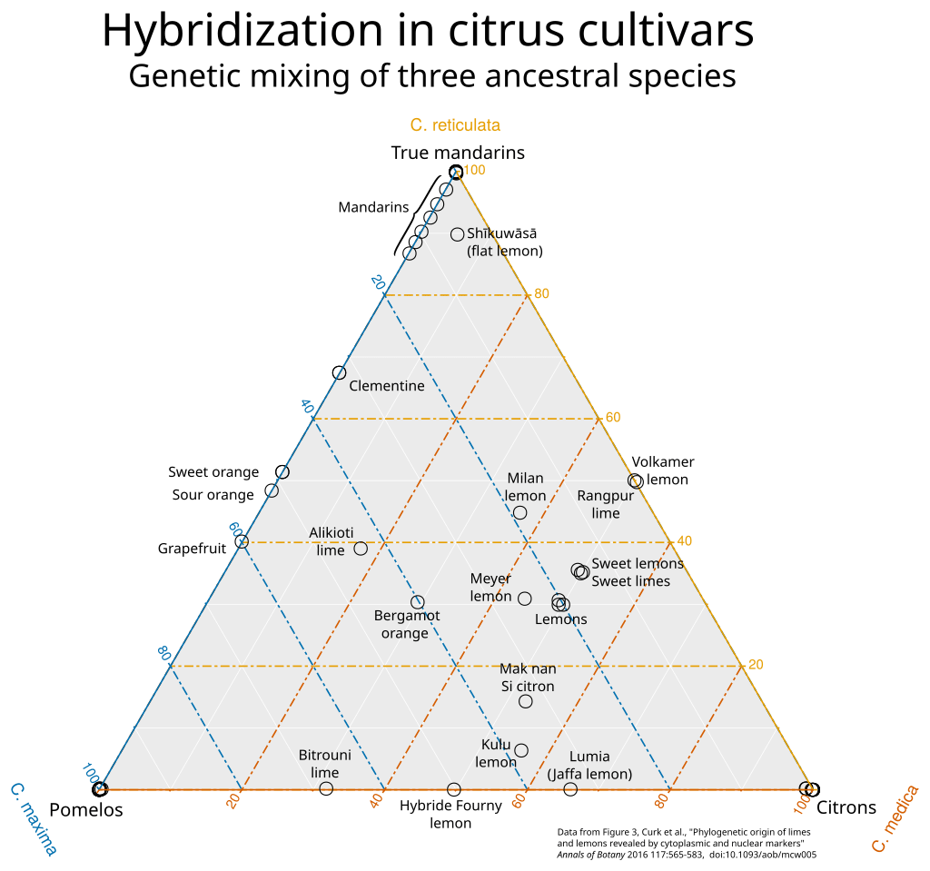 A ternary diagram of citrus fruit ancestry