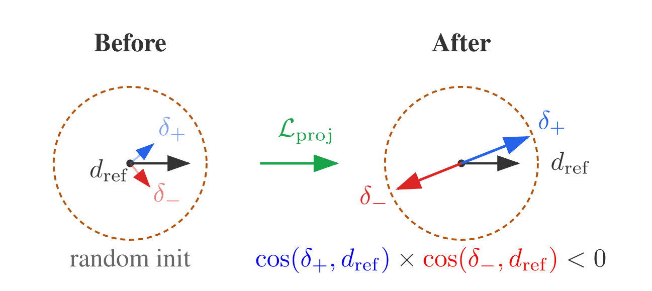 Anti-parallel projection loss geometry. The loss trains (shift at α=+1) and  (shift at α=−1) to align anti-parallel along . Left: Before training, shifts are random.Right: After training,  aligns with  and anti-aligns, giving.Dashed circle: coherence bound.