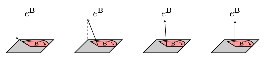 rotor action examples using exponential rotation (gifs)