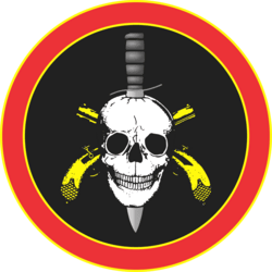 Batalhão de Operações Policiais Especiais - Wikipedia