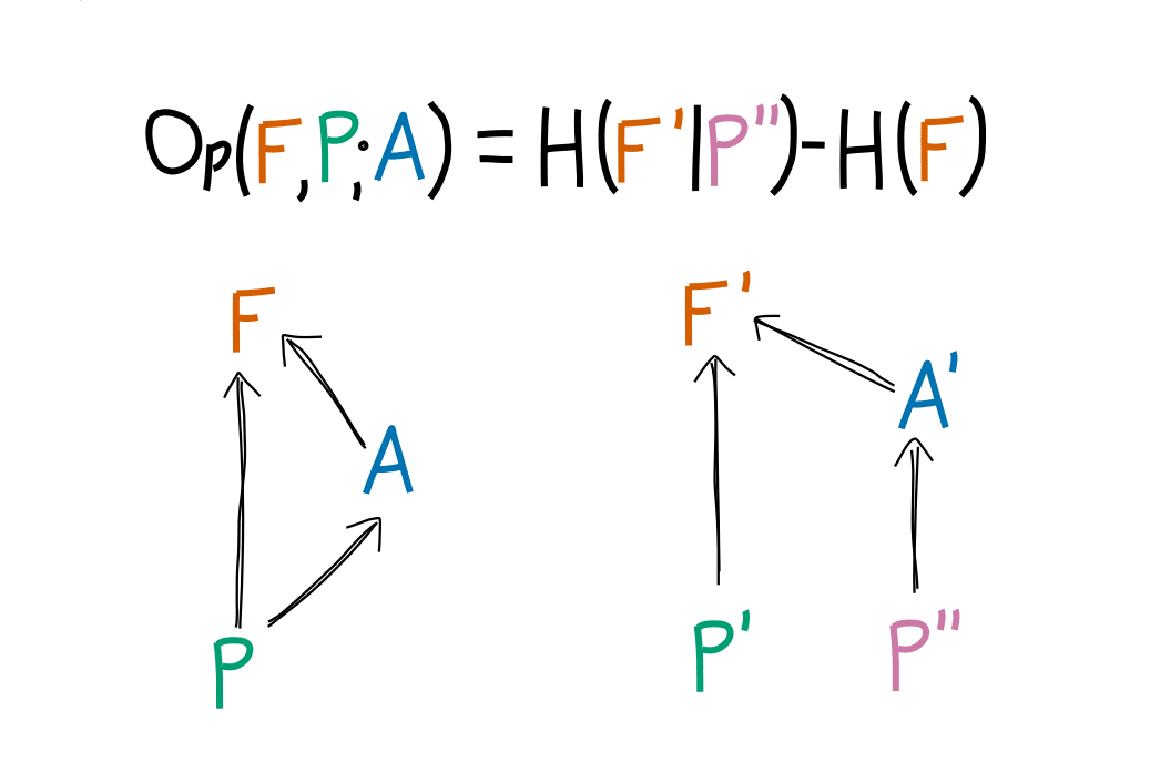A diagram with the following equation at the top: Op(F, P; A) = H(F