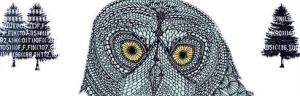 owl1 copy