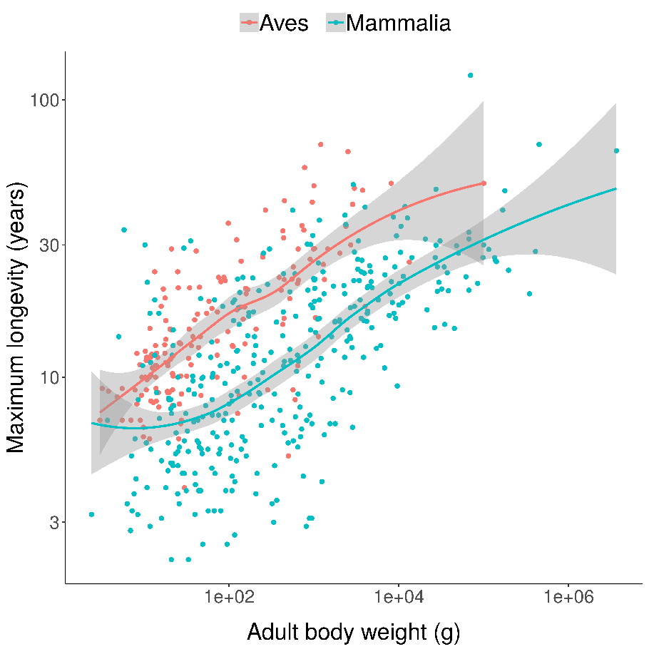 Scatterplots of bird and mammal maximum lifespans vs adult body weight from the AnAge database, with central tendencies fit in R using local polynomial regression (LOESS). Bird species tend to have longer lifespans than mammal species of similar body weight.
