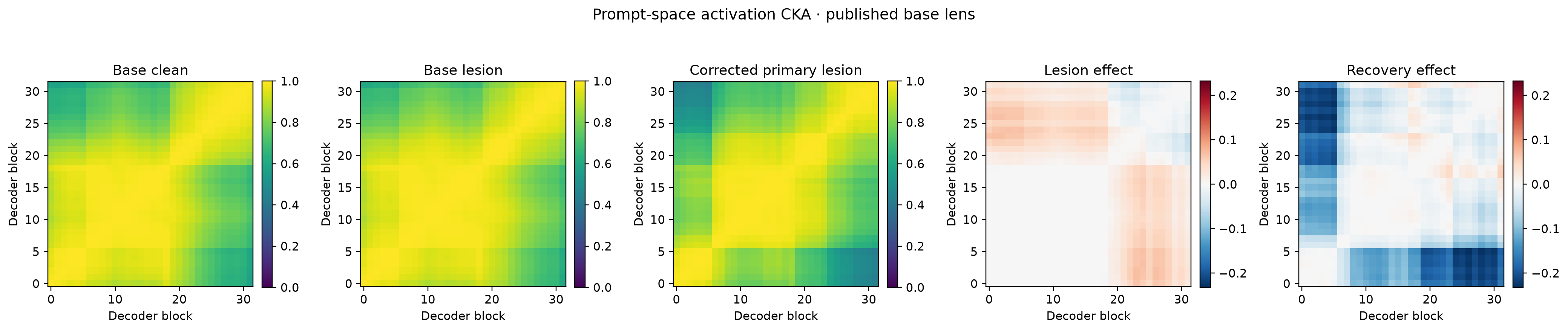lesion-fig4-cka-primary.png