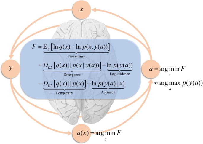 Generative models for sequential dynamics in active inference | Cognitive  Neurodynamics