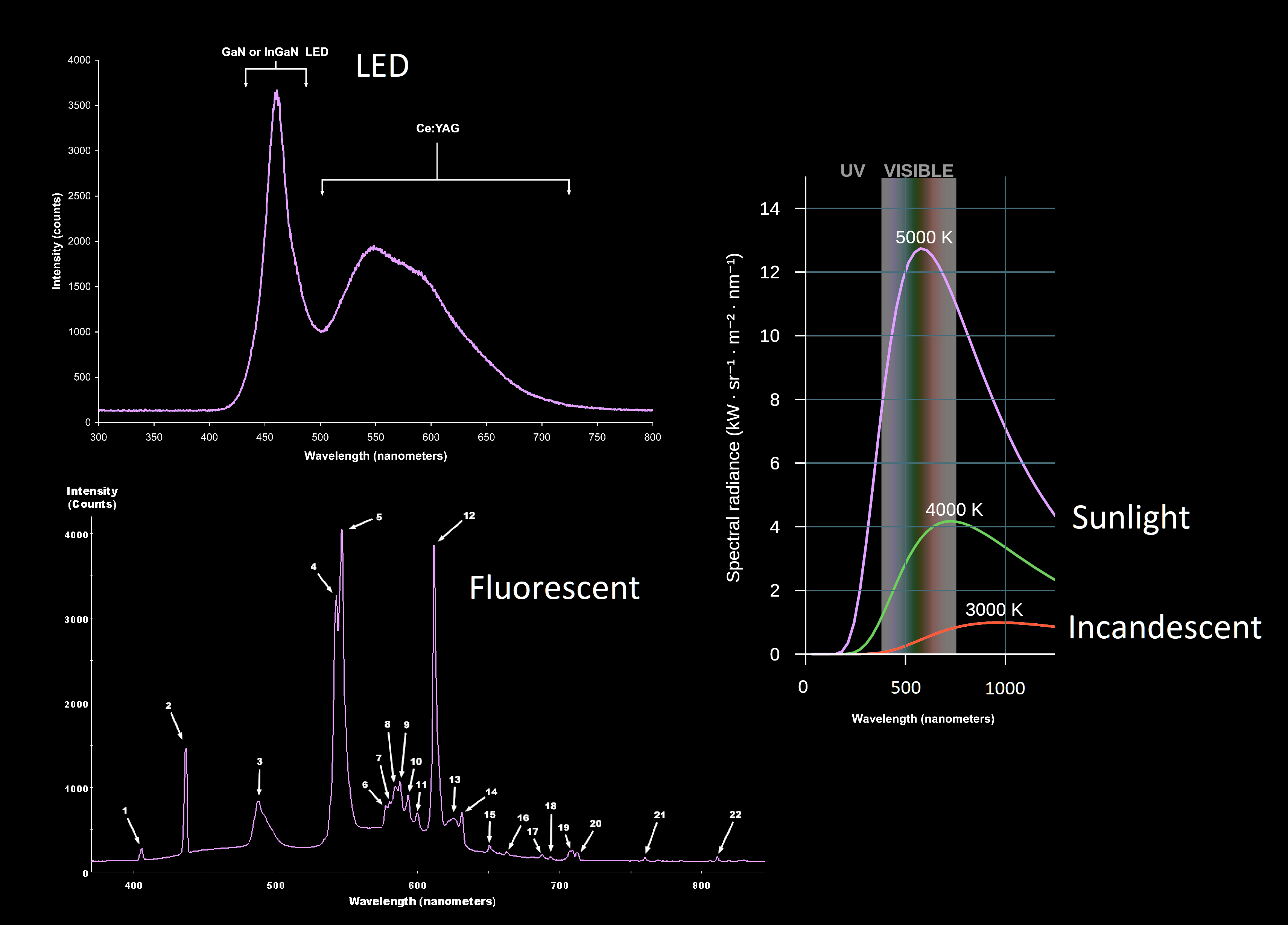 Spectra of different light sources