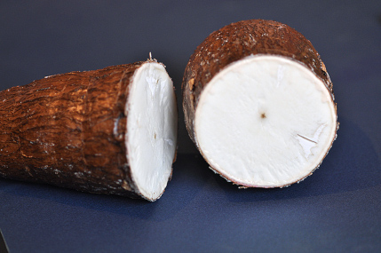 Cassava root