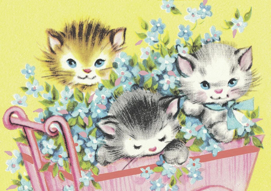 Kittens #1 by CSA Images